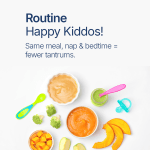 routine happy care